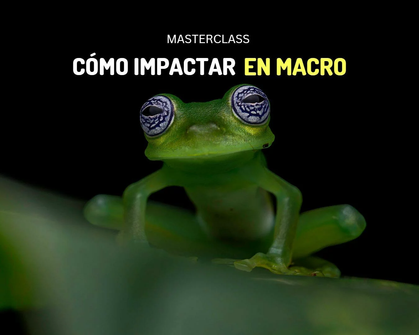 Masterclass: Cómo impactar en Macro