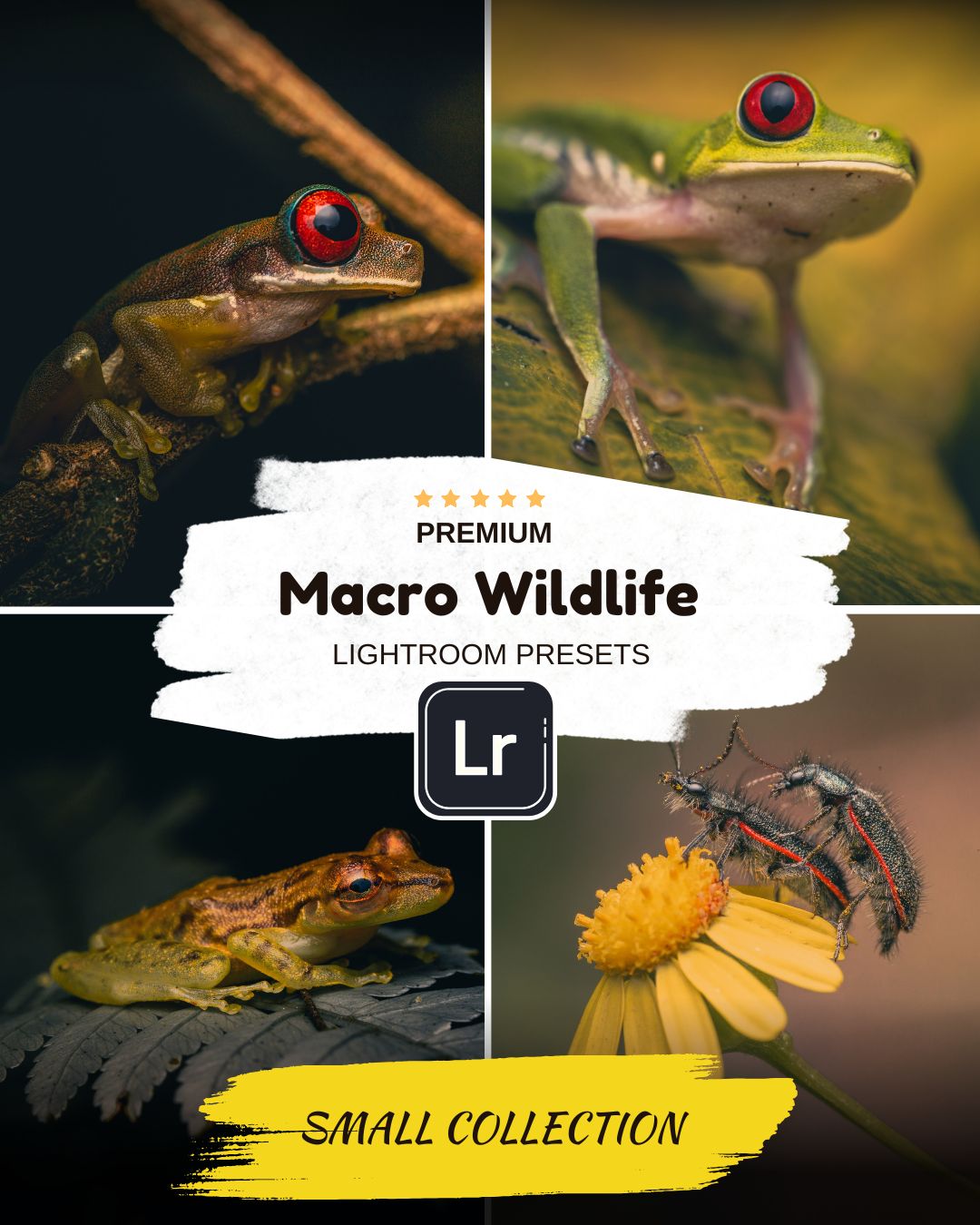 Macro Wild - Lightroom Presets - Small Collection