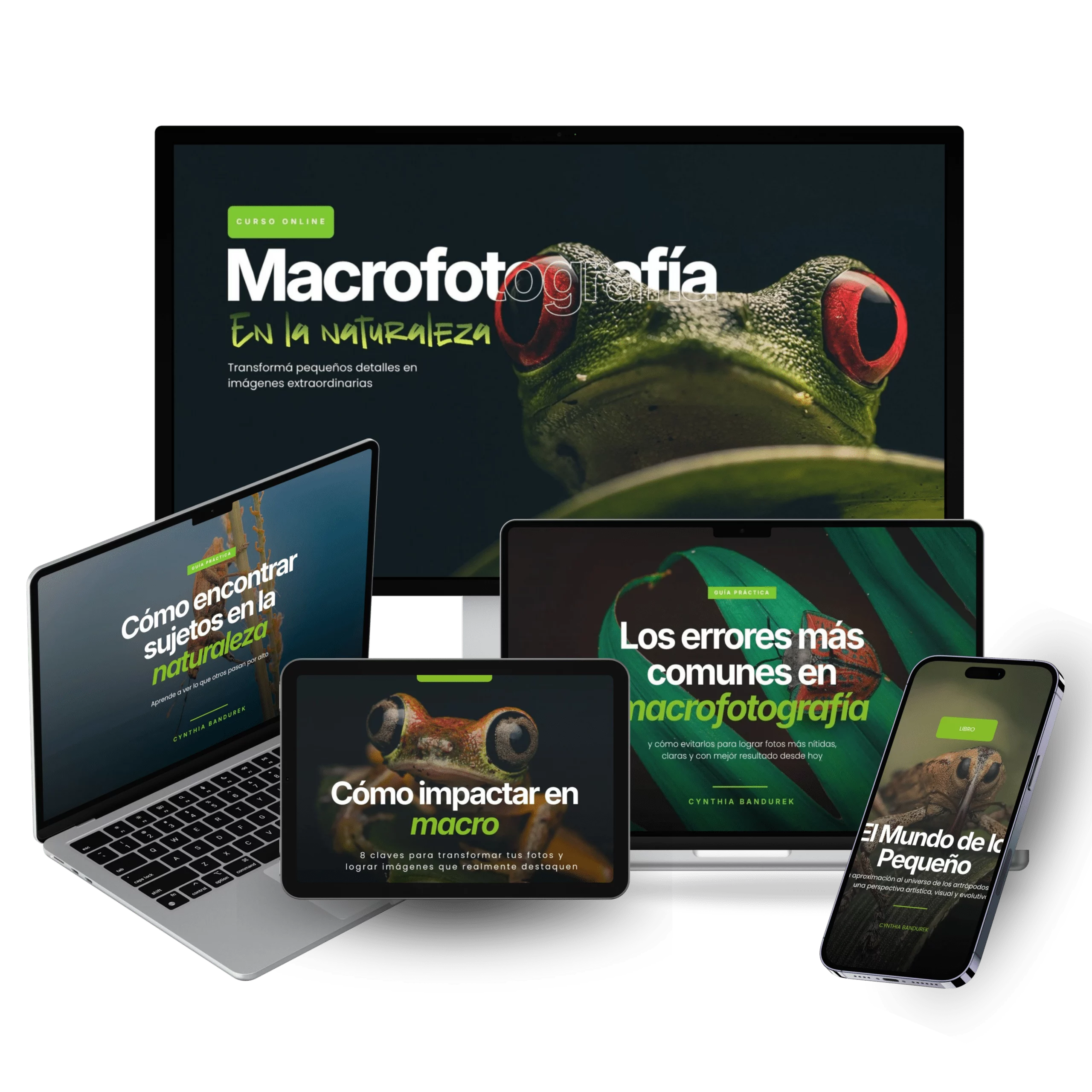 Macrofotografía en la Naturaleza